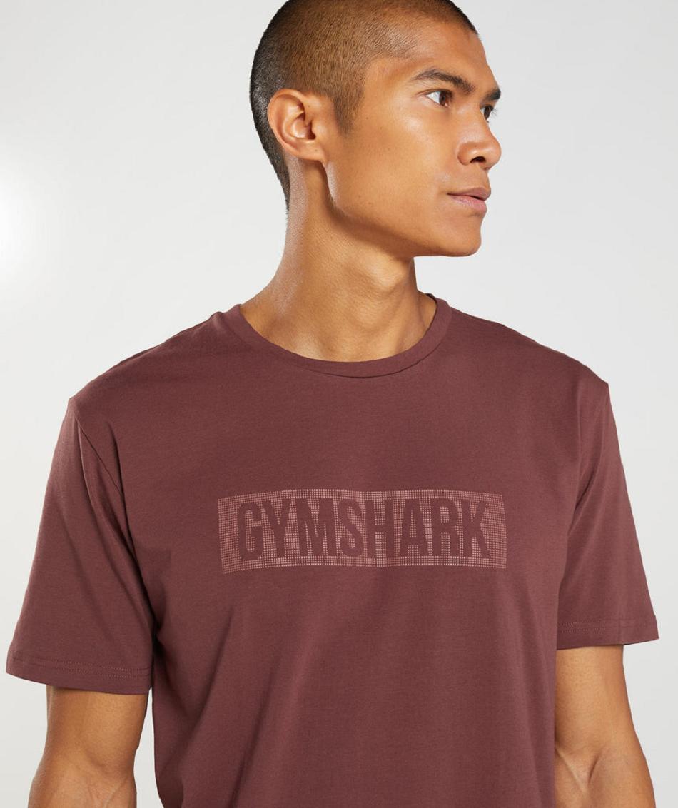 Gymshark Block Muške T Shirts Roze Smeđe | HR 2507MQZ